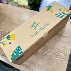 Halloween Mix - Ramo de flores