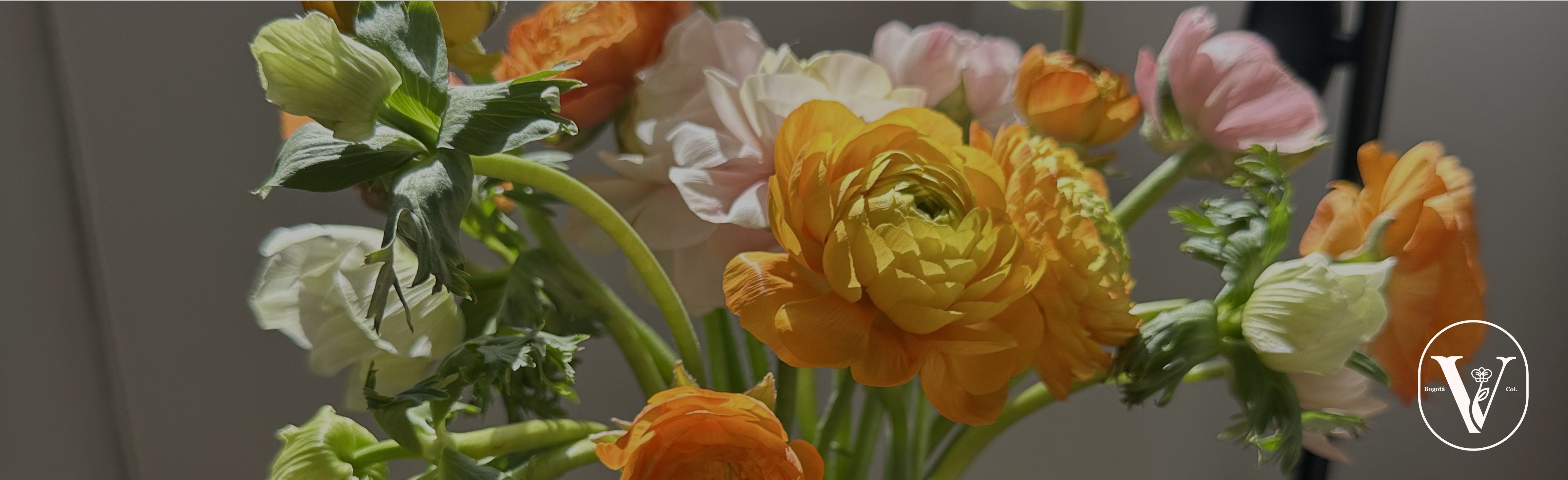 Envíamos Flores en bogotá